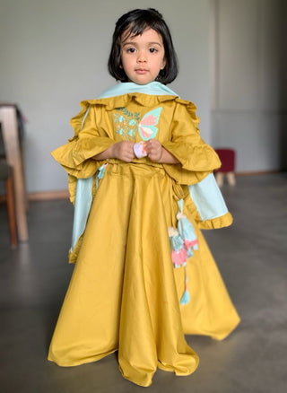 ArthLife Mustard Butterfly Lehenga Choli - Distacart