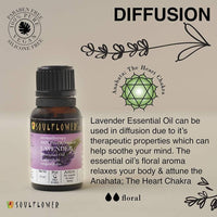 Thumbnail for Soulflower Lavender Essential Oil - Distacart