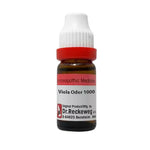 Thumbnail for Dr. Reckeweg Viola Odor Dilution - Distacart