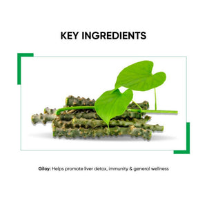 Dr. Vaidya's Giloy Juice - Distacart