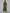Kalini Women Green Floral Printed Anarkali Kurta - Distacart