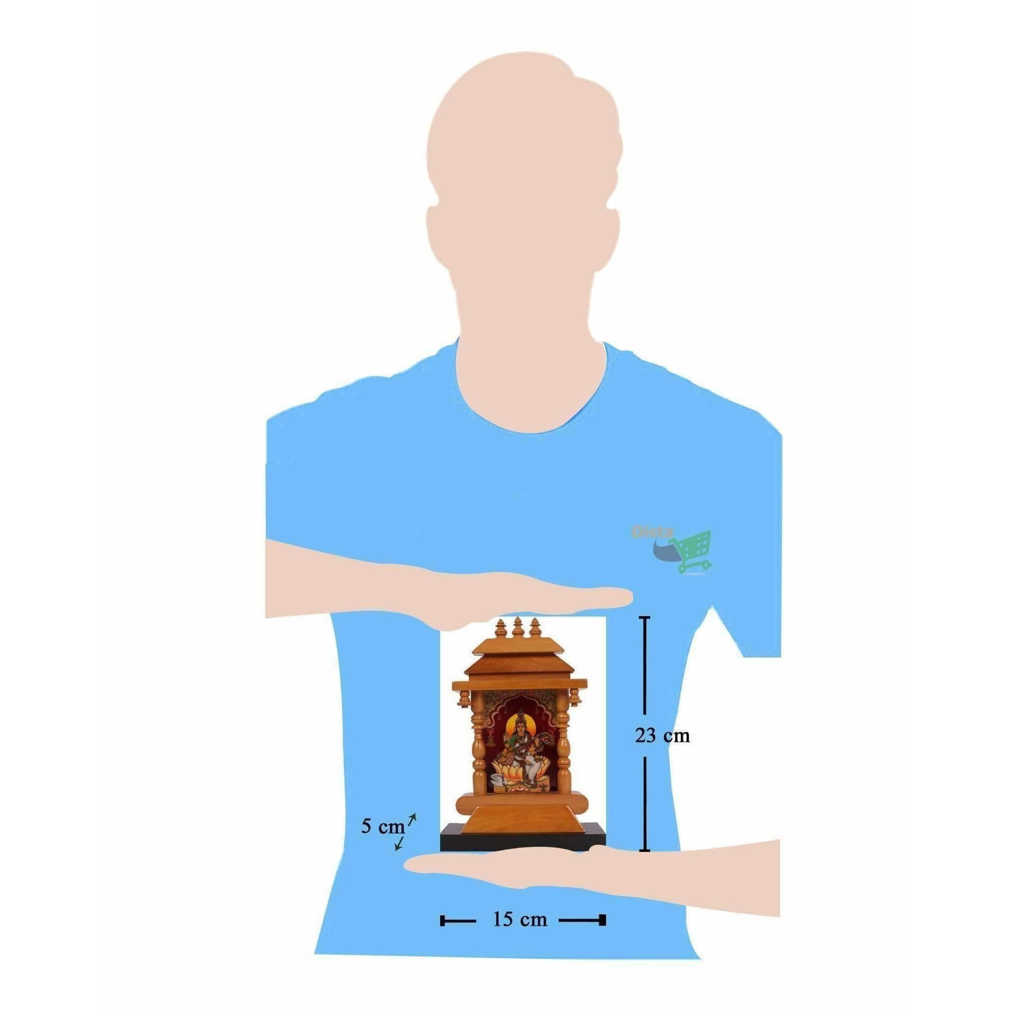 Nizamabad Panel of Lord Saraswathi - Distacart