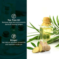 Thumbnail for Ustraa Anti Dandruff Hair Shampoo With Ginger & Tea Tree For Men