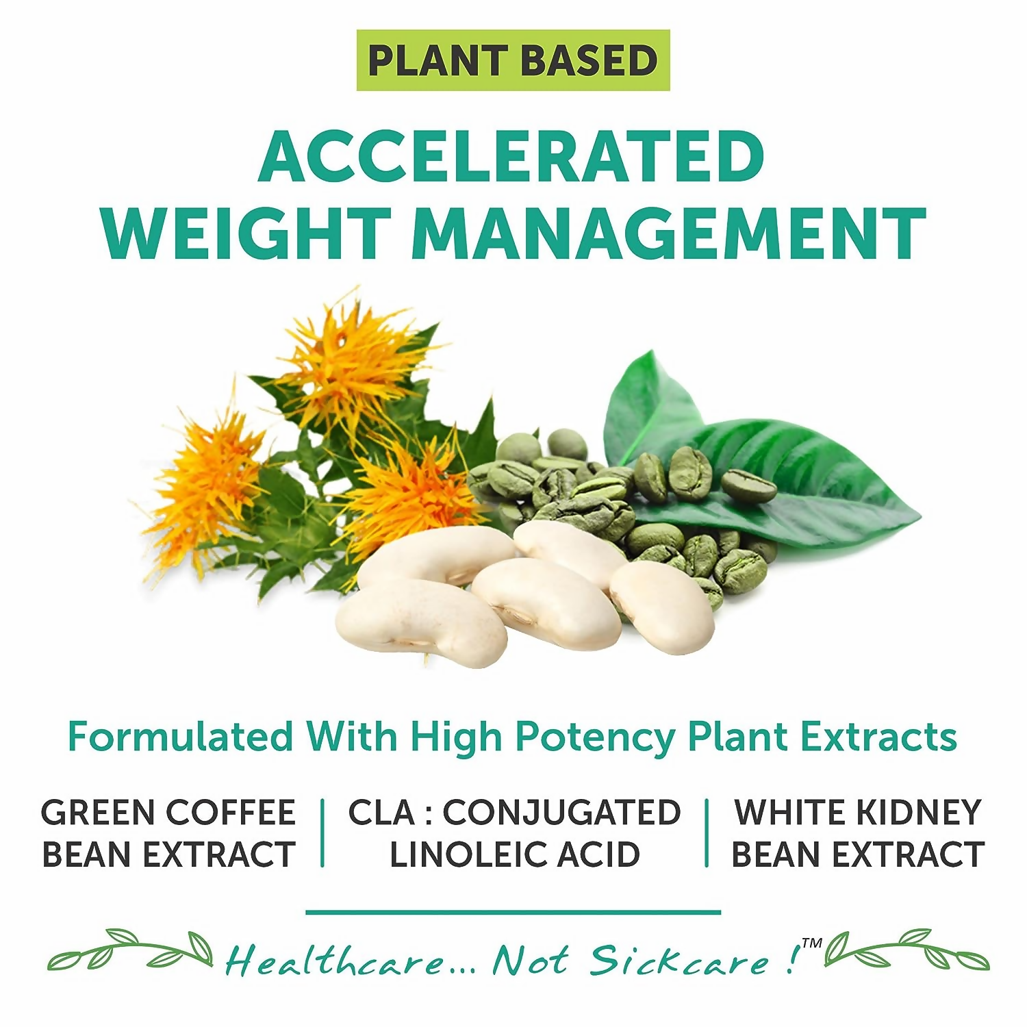 Bliss Welness CLA White Kidney Bean Extract Green Coffee Bean Extract Tablets - Distacart