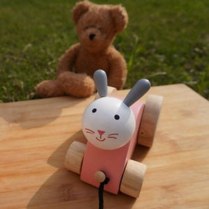 Matoyi Wobbly Doll & Pink Rabbit Pull Along & Maraca Rattle For Kids - Distacart