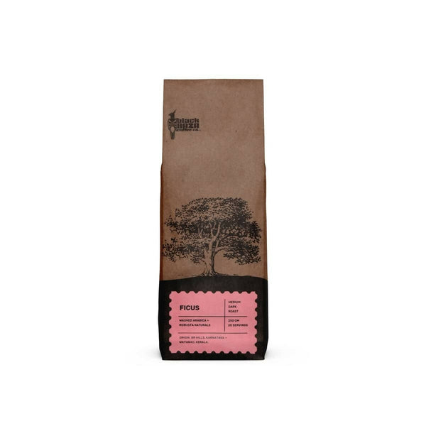 Black Baza Coffee Ficus - Distacart