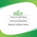 Thumbnail for Vital Care Urico -D Capsule 60 Capsules - Distacart