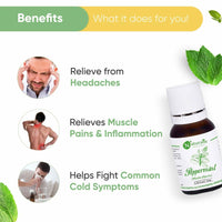 Thumbnail for Naturalis Essence of Nature Peppermint Essential Oil Benefits 