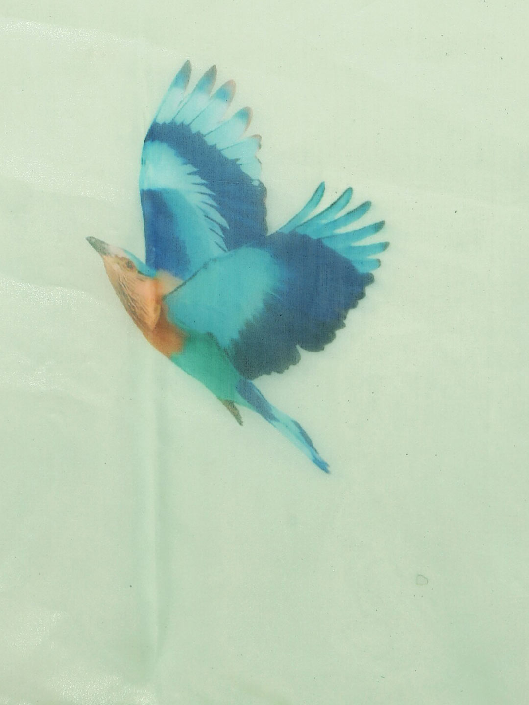 Sangria Sea Green & Blue Organza Saree - Distacart