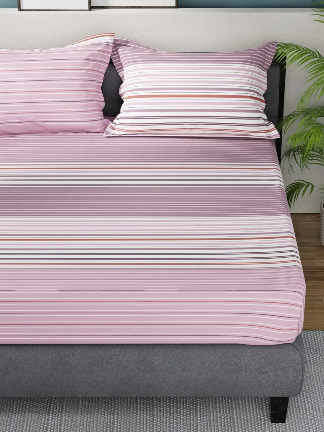 Nautica Bradford Pink & White Striped Cotton 160 TC King Bedsheet with 2 Pillow Covers - Distacart