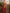 Kalini Woven Design Zari Patola Saree - Distacart