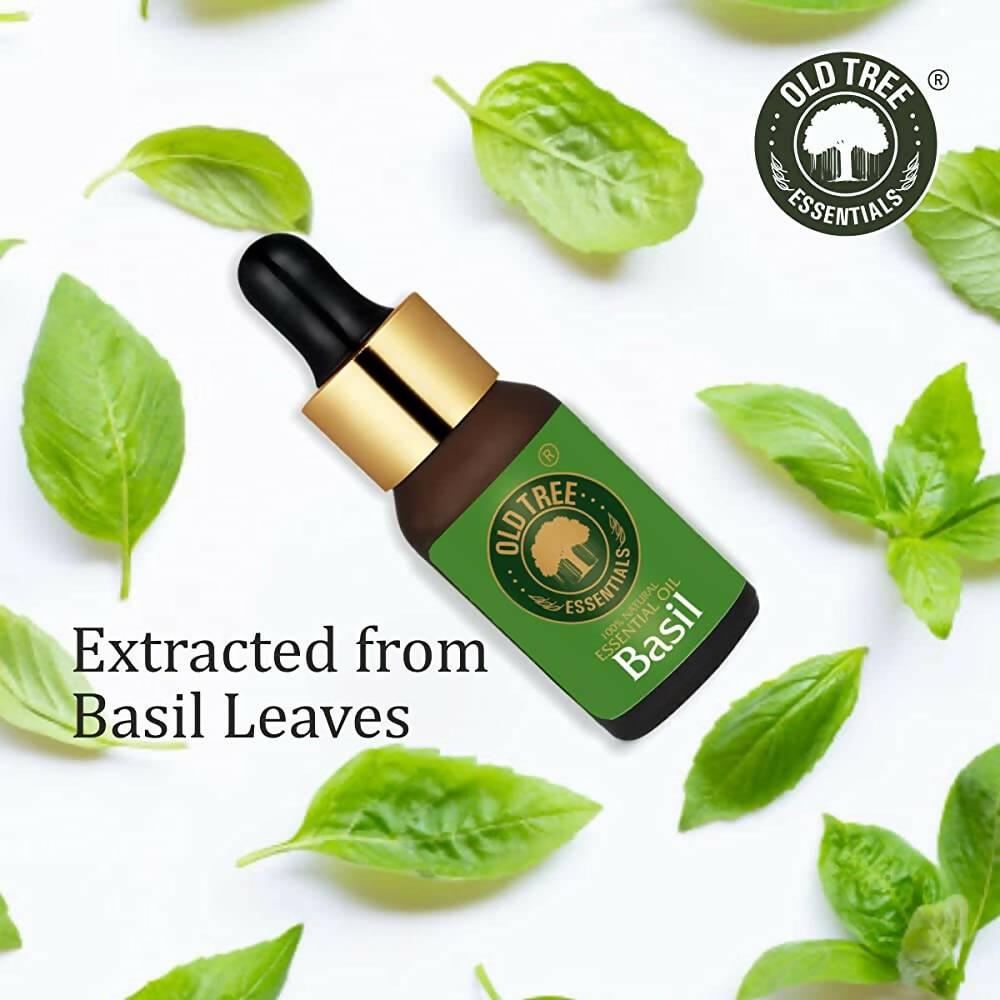 Old Tree 100% Natural & Pure Basil Essential Oil - Distacart