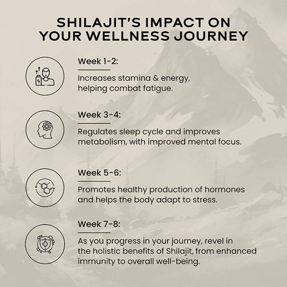 Wellbeing Nutrition Pure Himalayan SJ - Distacart