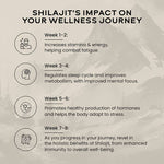 Thumbnail for Wellbeing Nutrition Pure Himalayan SJ - Distacart