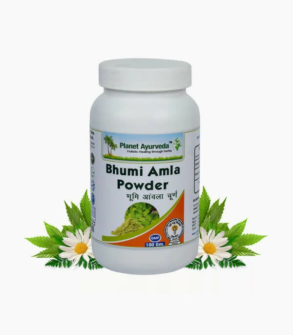 Planet Ayurveda Bhumi Amla Powder - Distacart