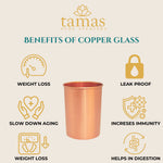 Thumbnail for Tamas Copper Glass - Distacart