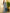 Saree Mall Off White & Blue Ethnic Motifs Dabu Saree - Distacart