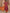 Sangria Maroon & Orange Printed V Neck Pure Cotton Angrakha Kurta With Trousers & Dupatta - Distacart
