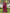 Saree Mall Pink & White Polka Dot Pure Cotton Designer Bagh Sarees - Distacart