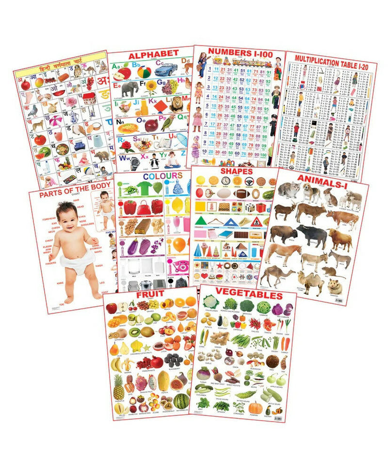 Dreamland Educational Charts - Combo 1 (10 Charts) : Children Early Learning Laminated Chart - Distacart
