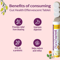 Thumbnail for Panchamrit Gut Health Effervescent Tablets-Zest Lemon Flavor - Distacart