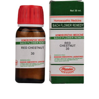 Thumbnail for Bhandari Homeopathy Bach Flower Red Chestnut 30 Dilution