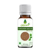 Oilcure Coriander Seed Oil Cold Pressed - Distacart