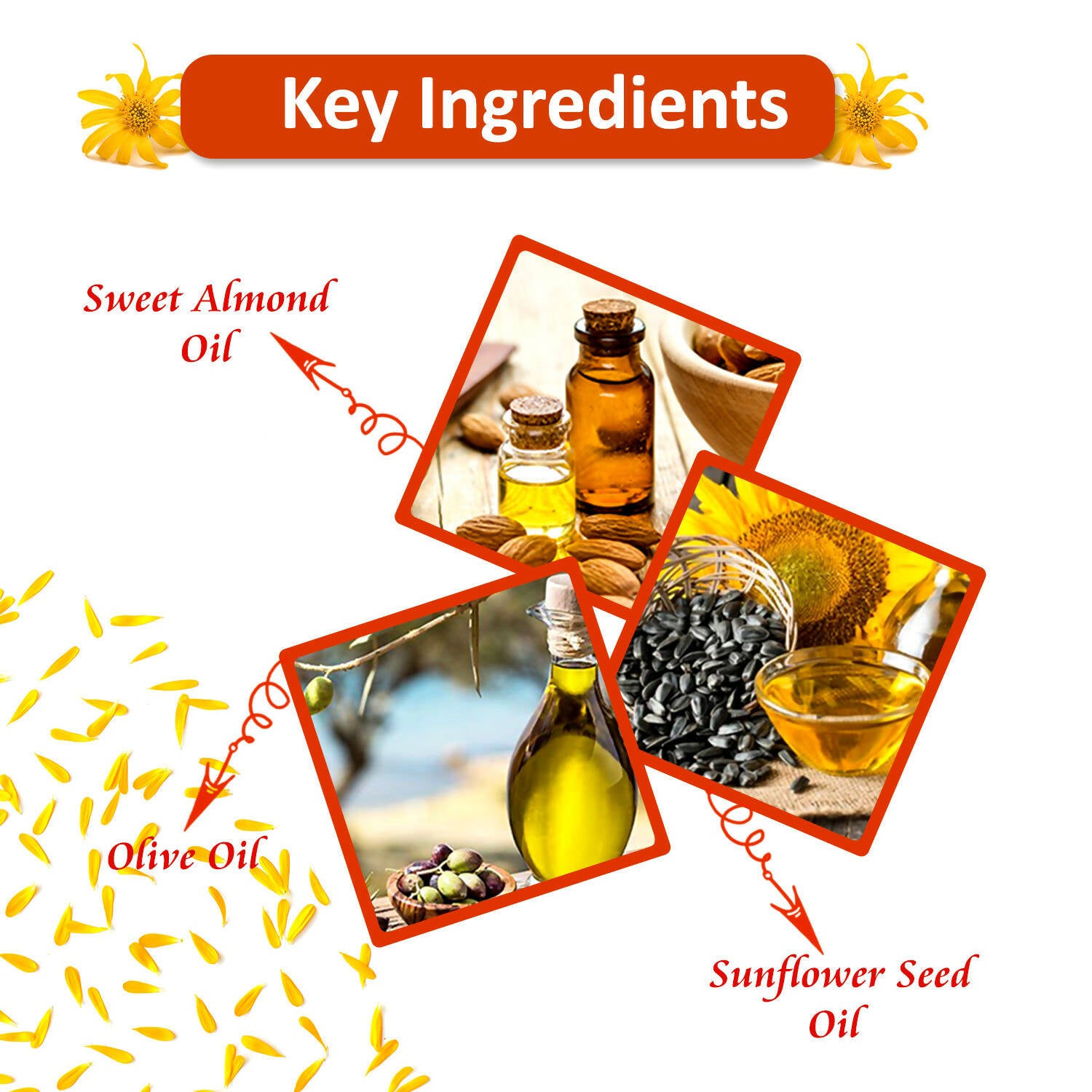 Bjain Homeopathy Omeo Arnica Hair Oil (With Jabrondi) - Distacart