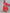Ishin Women Pink & Red Bandhani Thread Work Pure Cotton Kurta with Trousers & Dupatta - Distacart