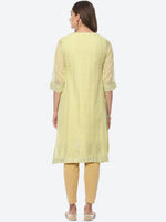 Thumbnail for Biba Women Ethnic Motifs Foil Print Chanderi Cotton Straight Fit Kurta - Distacart