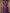 Kalini Woven Design Zari Silk Blend Banarasi Saree - Distacart