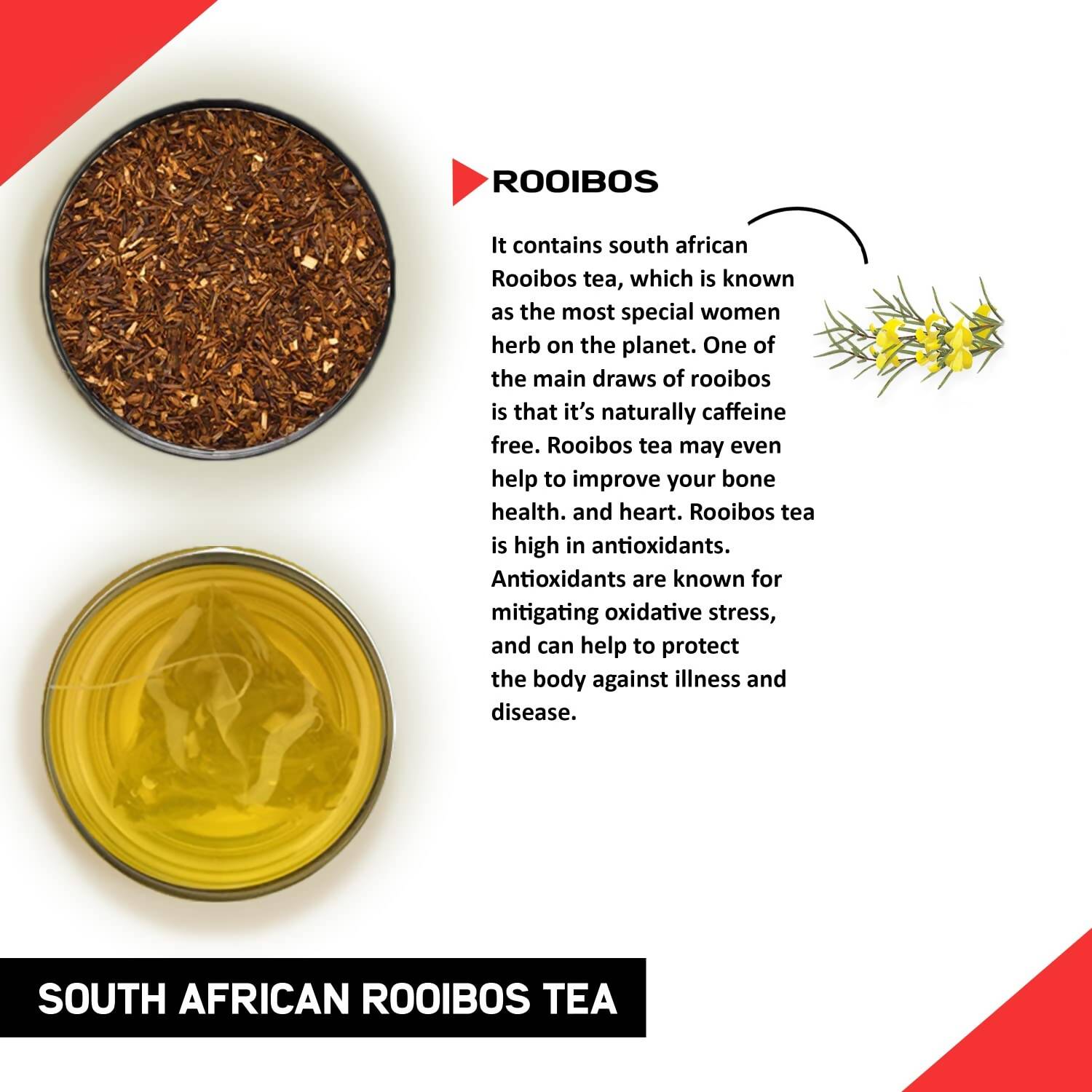 Teacurry South African Rooibos Tea Bags - Distacart