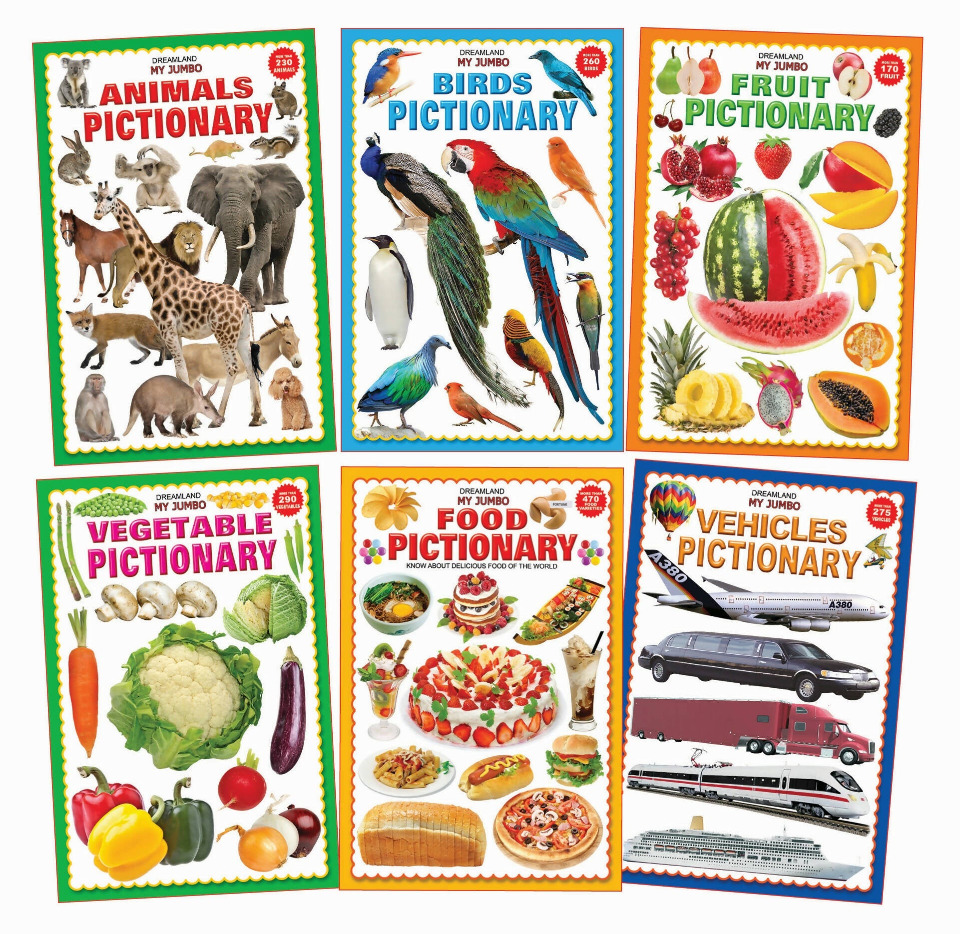 Dreamland Jumbo Pictionary Pack (6 Titles): Children Early Learning Book - Distacart
