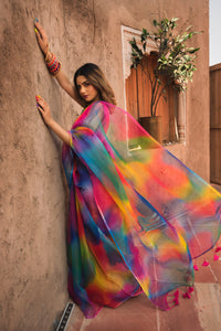 Thumbnail for Pomcha Jaipur Rainbow Organza Printed Saree - Distacart