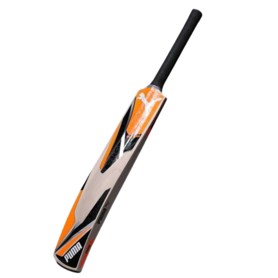 Puma Future Kashmir Willow Cricket Bat - Distacart