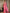 Kalini Woven Design Zari Saree - Distacart