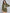 Lyush Olive Terry ADVENTURE Sweat Dress For Girls - Distacart