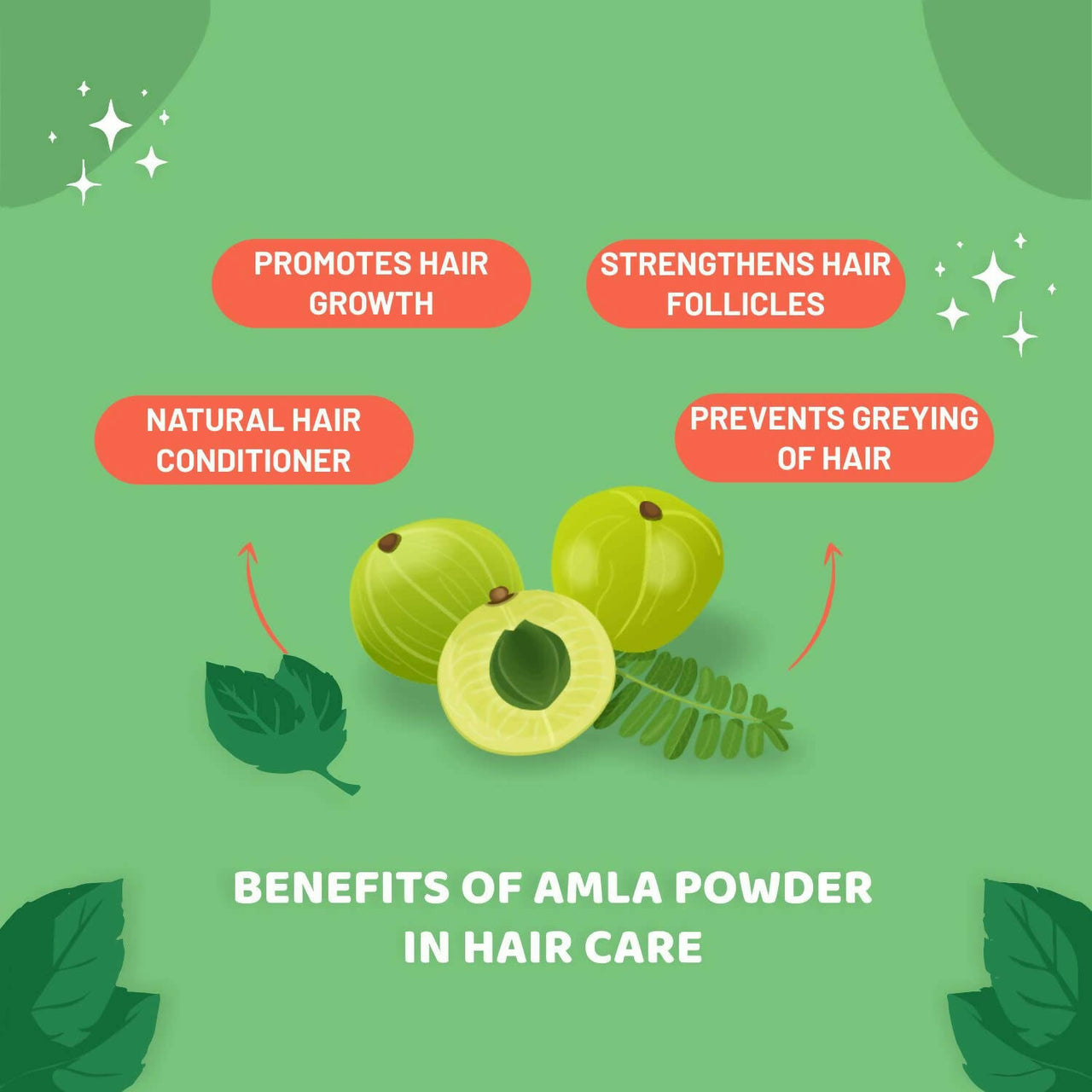 Carbamide Forte Amla Powder for Hair Growth & Skin - Distacart