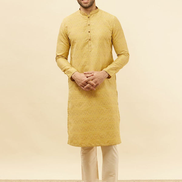 Manyavar Ethnic Motifs Woven Design Regular Kurta with Pyjamas - Distacart