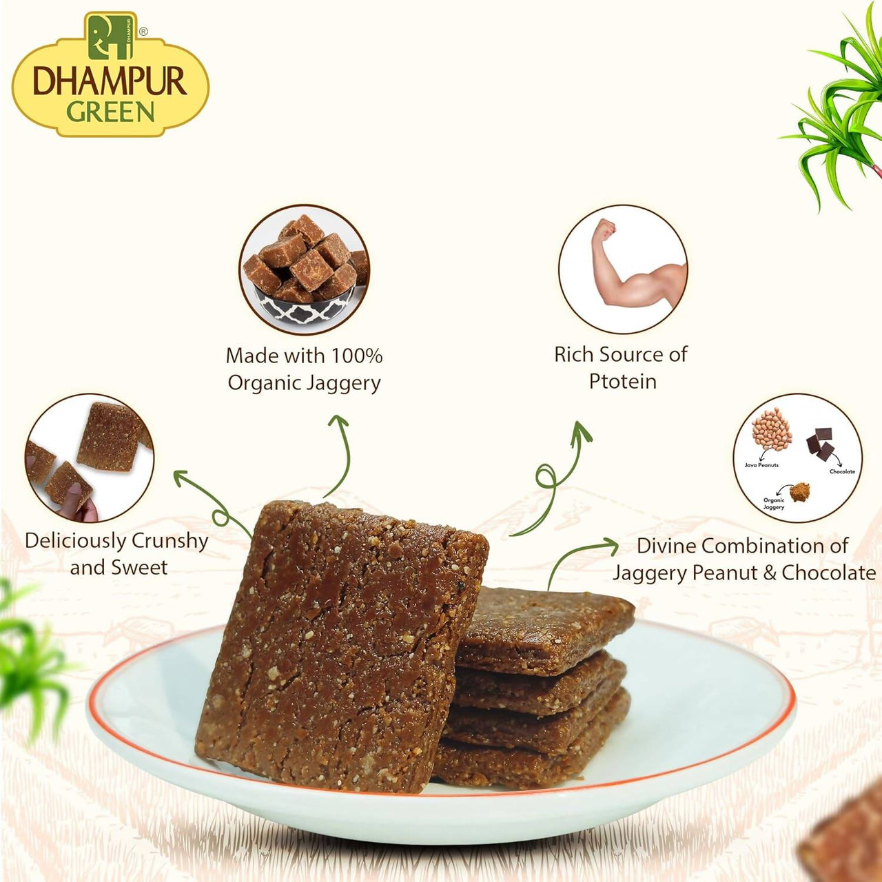 Dhampur Green Chocolate Peanut Chikki - Distacart
