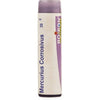 Boiron Homeopathy Mercurius Corrosivus
