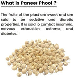 Thumbnail for Havintha Paneer Phool/ Doda Indian Rennet - Distacart