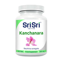 Thumbnail for Sri Sri Tattva USA Kanchanara Tablets - Distacart