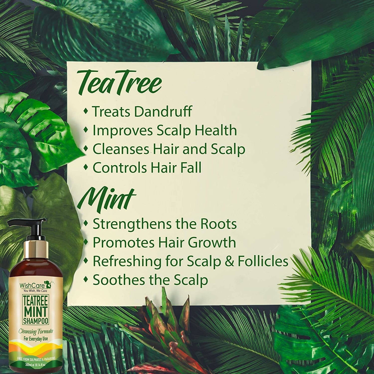 Wishcare Tea Tree Mint Shampoo - Distacart