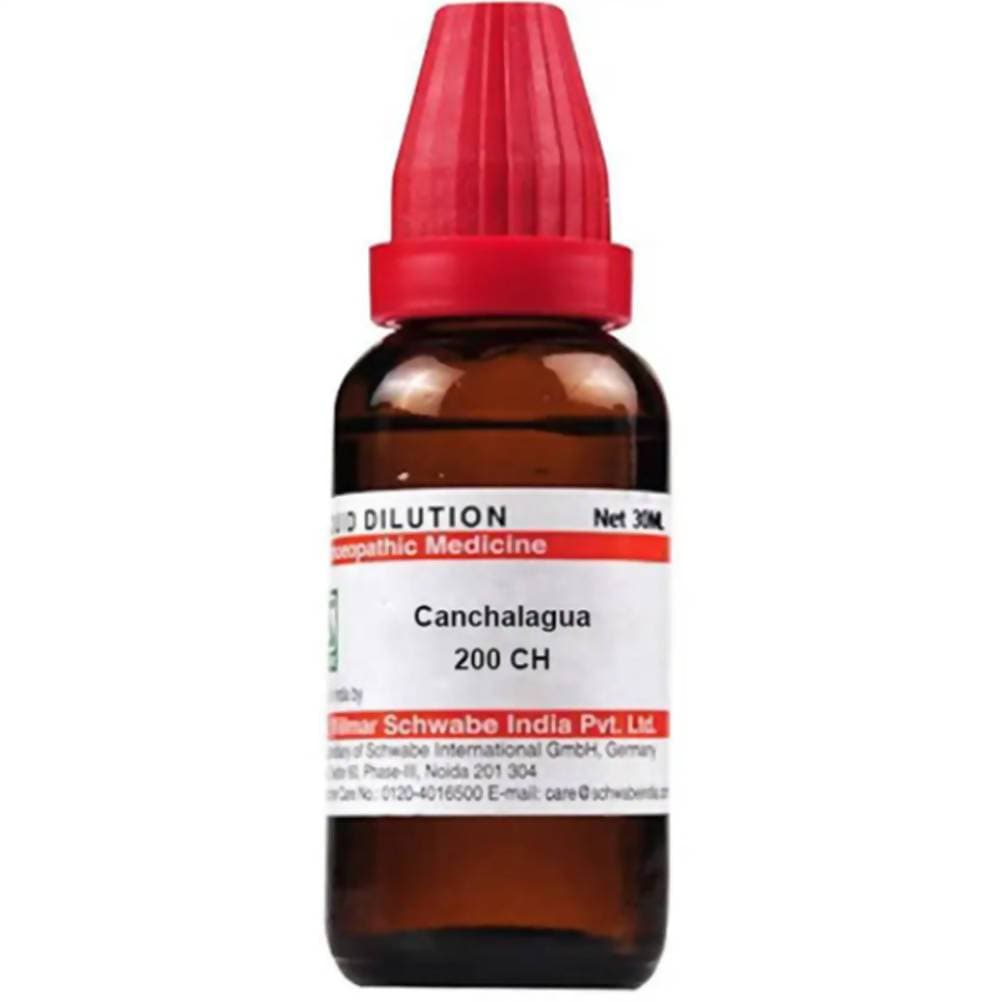 Dr. Willmar Schwabe India Canchalagua Dilution