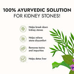 Thumbnail for Kapiva Ayurveda Stone Go Juice - Distacart