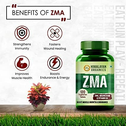 Science Behind the Supps: ZMA-5 - Muscle & Fitness