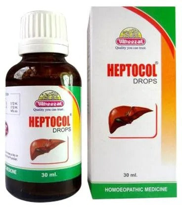 Wheezal Homeopathy Heptocol Drops - Distacart