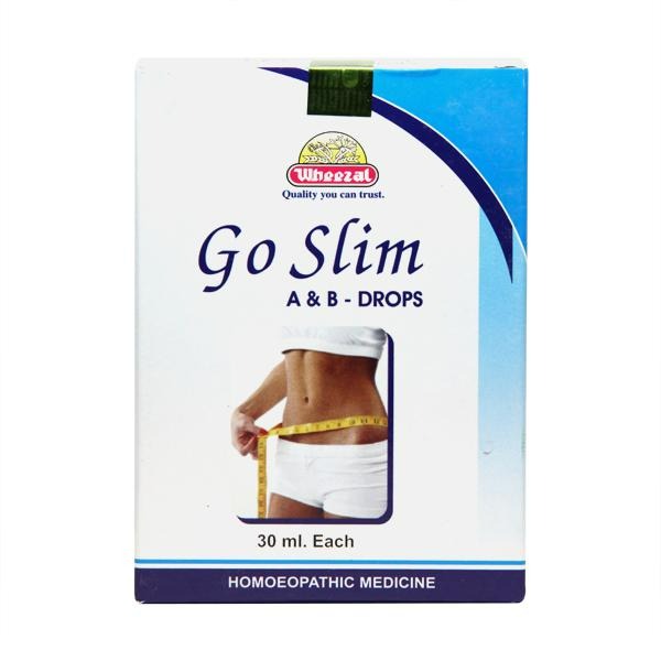 Wheezal Homeopathy Go Slim A & B Drops - Distacart