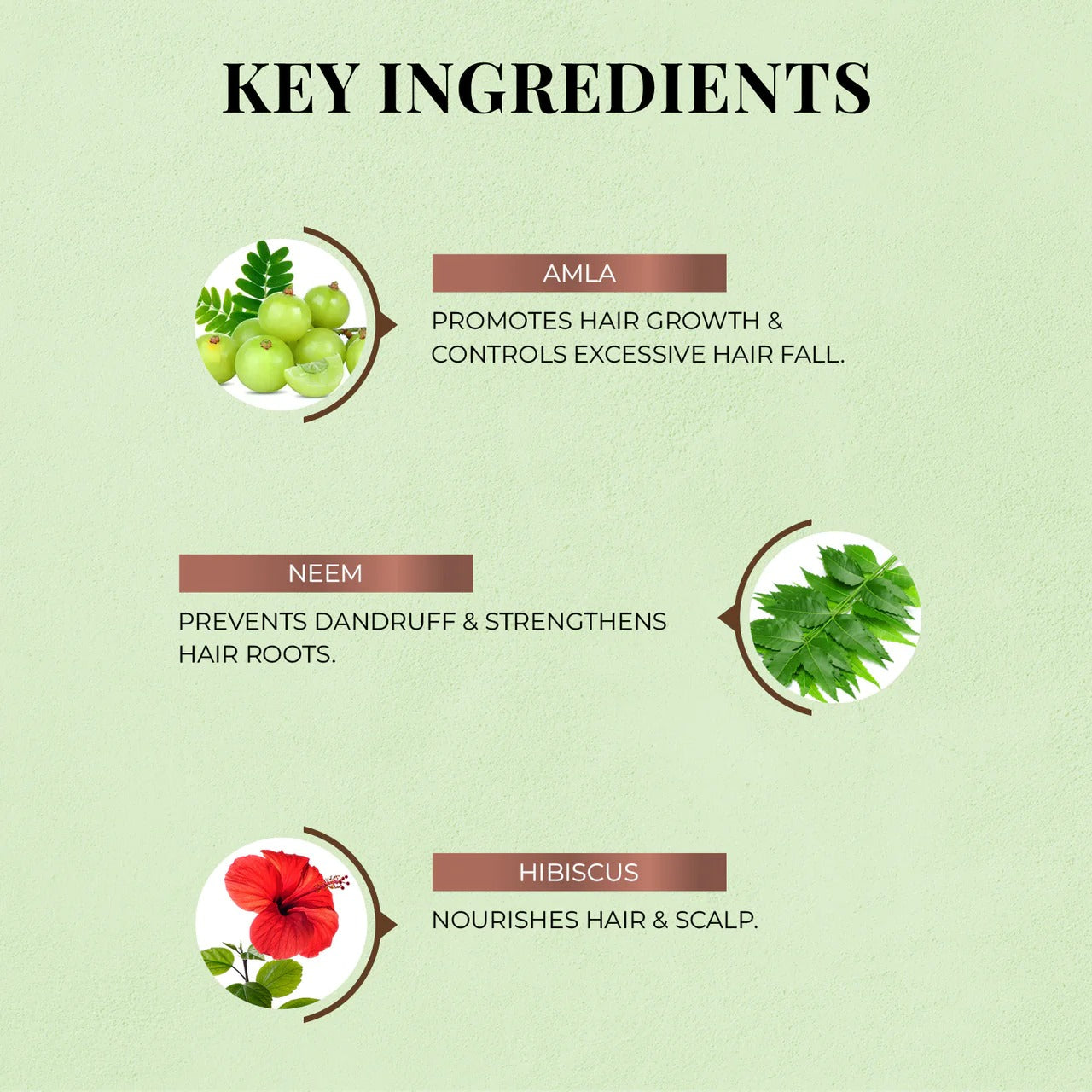 Just Herbs Hair Fall Control Combo - Distacart